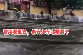 #暴雨过后 #我的城市下雨了 #看海模式 #下雨天 水上公路，你见过吗？视频封面