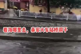 #暴雨过后 #我的城市下雨了 #看海模式 #下雨天 水上公路，你见过吗？视频封面