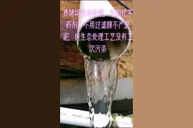 养殖场猪粪便污水处理，占地面积小，纯生态，处理运行费用底#养猪 #猪场环保#养殖场建设#污水处理@企业号小助手视频封面