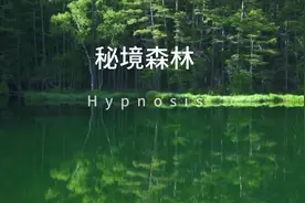 【粤语频道】你种下的种子是什么样的？最后变成什么样的视频封面