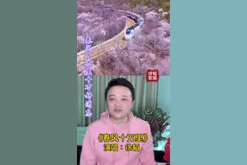 朗朗上口的《春风十万里》向身在各地的朋友们送去十万好消息！一起学，一起唱，聊起来！#唱歌 #唱歌教学技巧 #声乐教学 #声乐 #翻唱 #歌唱 #歌唱我的祖国 #歌唱祖国 #男声 #谁不说家乡美 #独唱 #北京 #上海 #贵阳 #重庆 #成都 #广州 #合肥 #武汉 #长沙 #太原 #西安 #银川 #拉萨 #乌鲁木齐 #兰州 #西宁 #福州 #海口 #天津 #杭州 #南京 #南昌 #南宁 #昆明 #呼和浩特 #沈阳 #长春 #哈尔滨 #石家庄 #郑州 #济南 #香港 #澳门 #台北 #春风十万里 #文学艺术 #阎维文 #殷秀梅 #春晚 #2022春晚 #热门 #上热门视频 #贵州 #四川 #广东 #安徽 #湖北 #湖南 #山西 #陕西 #宁夏 #西藏 #新疆 #甘肃 #青海 #福建 #海南 #浙江 #江苏 #江西 #广西 #云南 #内蒙古 #辽宁 #吉林 #黑龙江 #河北 #河南 #山东 #台湾 @阎维文粉丝之家视频封面