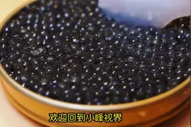 剖出鱼籽的鲟鱼还能活吗？鱼子酱为什么这么贵重视频封面