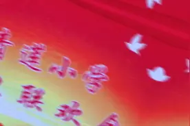 当涂县青莲小学元旦联欢会#从教室到舞台 #台上一分钟台下十年功视频封面