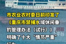 #重庆dou知道 重庆禁捕水域休闲垂钓管理办法20日施行 首次明确10种“情节严重”行为#钓鱼 #本地新闻视频封面