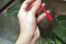 挖出来一勺就是赚啊～瓶底的精华挖出来最少还能用一周.视频封面