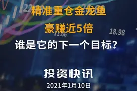 精准重仓金龙鱼豪赚近5倍，谁是它的下一个目标？#重仓#金龙鱼视频封面