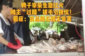 给鸭子涂上淡黄色涂液~“过蜡”拔毛会不会影响健康?回应来了 #中元节 #吃鸭子视频封面