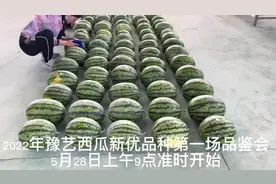 2022年豫艺西瓜新优品种第一场品鉴会 5月28日上午9点视频封面