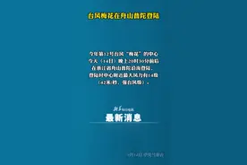 台风梅花在舟山普陀登陆视频封面