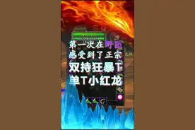 野团也能双持狂暴T单T小红龙？T都能dps前三名？！#魔兽世界怀旧服 #黑翼之巢 #狂暴战视频封面