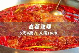 成都攻略—人均1000｜成都五日游，文字版在片尾#旅行大玩家