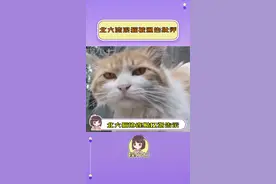 #香波 专会仗着美貌为所欲为了～可谁叫我颜控呐…视频封面