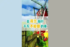 去荷兰旅行千万不能做的事 #荷兰  #旅行视频封面
