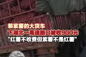 10月16日(回应)，湖北襄阳，#装紫薯大货车下高速路口被收900元   回应:红薯不收费但紫薯不是红薯。(上游新闻记者 牛泰)视频封面