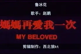《妈妈再爱我一次》鲁冰花视频封面