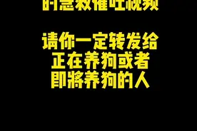 狗子误食有毒的食物又来不及送医院就照着我的方法弄吧，非常管用…收藏起来，希望你们不要遇到…#哈士奇五一#金毛一二#金哈帮#宠物急救@金毛一二 @五一家的赛级哈士奇视频封面