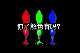 你了解色盲嘛？#科普 #色盲 #色盲色弱视频封面