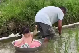 萌娃坐盆中陪爷爷插秧，网友：扁担挑起的，一边是生活，一边是责任和爱视频封面