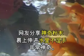 所以这么神奇的粉末，你们想用来干点啥？#科普