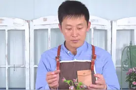 花苞打不开怎么办？天狼告诉你问题在哪！ #月季视频封面