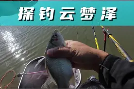 探钓云梦泽，体验想象不到的鱼情 #双十一金秋垂钓季 #在冬日阳光下钓个鱼吧 #老坛维它米 #渔之源 #用ak去爆护视频封面