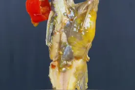 #酸菜黄辣丁#川菜 黄辣丁这样做肉非常嫩 吃起来没有一点腥味 赶紧动手做起来吧！视频封面