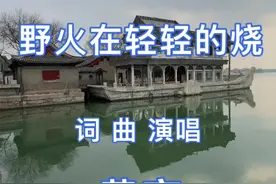 我唯一的一首苦恋、单恋的情歌！#一首歌一个故事 #唱歌给你听 #经典老歌视频封面
