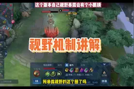 职业教练讲解王者荣耀视野机制，第一遍看视频