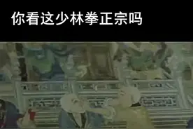 日本少林寺拳法联盟来少林寺认祖归宗后，希望实战切磋交流一下 结果点红心关注后续#东盟决#武术 #少林寺 #功夫视频封面