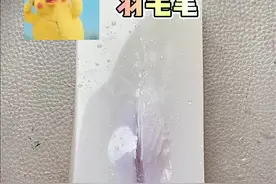 #手工 DIY给我麻麻做了一支羽毛笔…#家庭日常 @抖音短视频