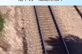 小狗被卡在铁路枕木，他千钧一发之际救下！#狗 #铁路 #危险 视频封面