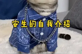 最胖的帅猫安生如何给芙芙表白呢，大家快支支招#宠爱里云社区 @宠爱里视频封面