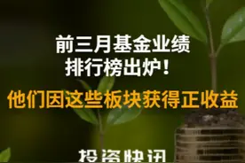 前三月基金业绩排行榜出炉！他们因这些板块获得正收益视频封面