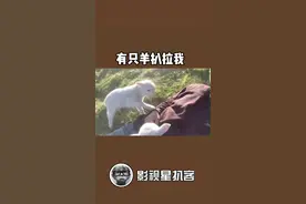 性感白皮萌物在线求rua#暴躁小羊扒拉杀 #娱乐评论大赏视频封面
