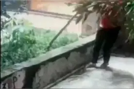 只因小树挡光，大妈疯狂摇树。这事大家怎么看？视频封面