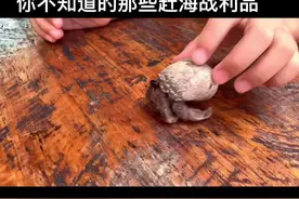 珠海神秘海岛惊现陆生短腕寄居蟹品种@原生老司机昌爷视频封面
