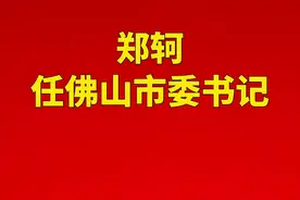 郑轲任佛山市委书记#佛山视频封面