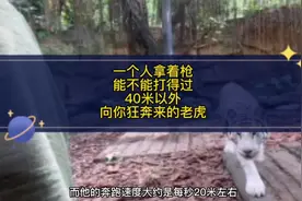 一个普通人拿着枪，能不能打得过40米以外向你飞奔而来的老虎？视频封面