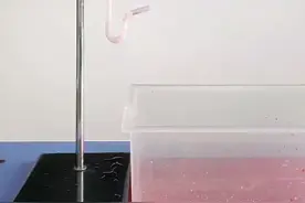 U形“反水弯”是一个连通器，可以通过少量存水阻隔异味回流。#涨知识 #创意 #科普 #教育视频封面