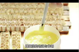 #蜂王浆的功效与作用#视频封面