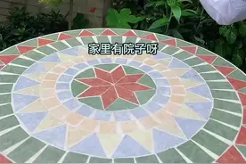#紫藤 ，又名紫气东来视频封面