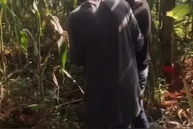 为非洲员工一大家改善伙食，终于有肉吃了#走进非洲视频封面