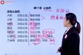 执业药师中药二考试大纲，历年考点整理——凉血止血药#学习打卡视频封面