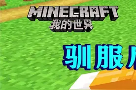 我的世界214：驯养狐狸！驯服后就不吃鸡了，遇到我也不会逃窜！-3 #我的世界