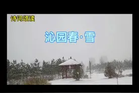 沁园春·雪#诗词#朗读者#董卿视频封面