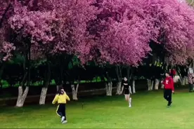 #宣威 阳春三月，不止金月湖和玉泉山公园，还有宛水公园的春天 美哭了#身边的风景 #春暖花开视频封面