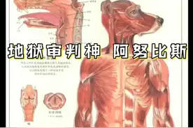 如果天平另一端能放上任意物品，你会放什么呢？#奇闻奇事 #未解之谜 #埃及 @抖音文化站视频封面
