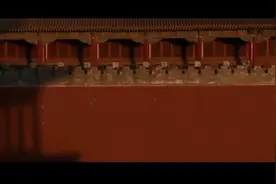 一种神奇的养生药石，净化水抑菌抗氧化延缓衰老#麦饭石视频封面