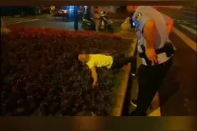 醉汉卧倒马路边，把草丛当床铺还想要被子，引发爆笑，逗乐民警视频封面
