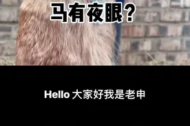 马的夜眼#马术教学 #马术 #抖音助手 #马术教育 #申申马术课堂